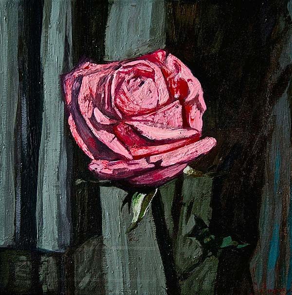Une rose