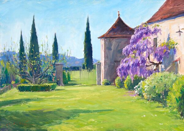 Wisteria in bloom