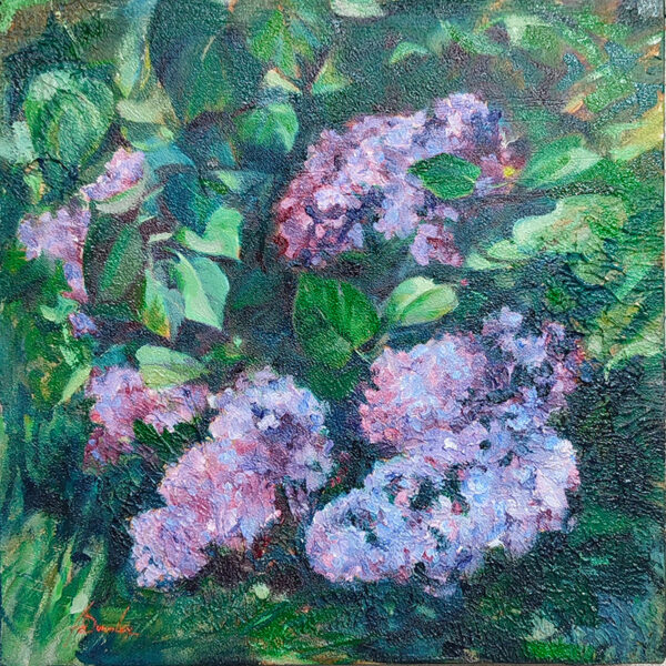 Lilas