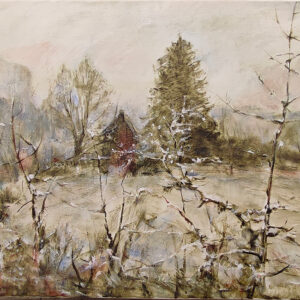 Paysage givre