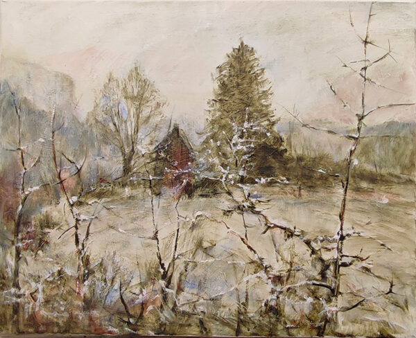 Paysage givre